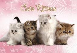 HC - 台灣製拼圖1350片-花好月圓 1350-002 歷史價格詳細信息