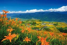 HC - 拼圖2000片(台灣製)-典藏系列-般若波羅蜜多心經 - 元 趙孟頫  2000A-003 歷史價格詳細信息