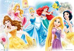 百耘圖 Disney Princess公主拼圖300片 HPD0300S-039 【久大文具】 歷史價格詳細信息