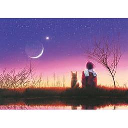 P2 - HM520-053 浪漫星座系列-山羊座夜光拼圖520片 歷史價格詳細信息