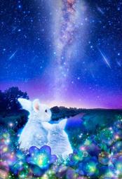 1000片迷你拼圖 空崎駿 1000c-209心之谷 1000c-210魔法公主 -211 魔女宅急便 -212神隱少女 歷史價格詳細信息