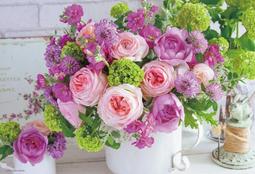 拼圖專賣店 500-103(500片拼圖 克莉絲汀．貝瑞 速克達) 歷史價格詳細信息