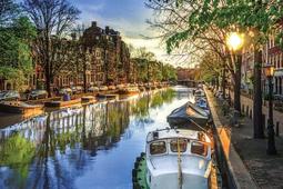 拼圖專賣店 1000-137D(台灣之美－台中梨山－波斯菊花海) 歷史價格詳細信息