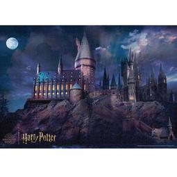 Tenyo哈利波特Harry Porter霍格華茲冬雪城堡立體3D金屬拼圖B-MP-005C 歷史價格詳細信息