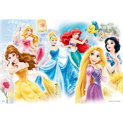 百耘圖 - DISNEY PRINCESS 公主(12) 108片拼圖 HPD0108-266 歷史價格詳細信息