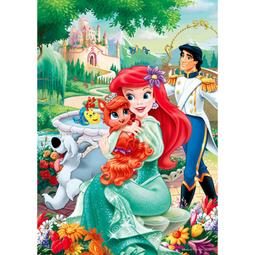 百耘圖 - Disney Princess 閃亮公主 108片拼圖 HPD0108-311 歷史價格詳細信息