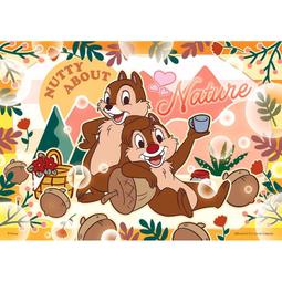 百耘圖 - Chip an' Dale 奇奇蒂蒂(4) 1000片拼圖 HPD01000-128 歷史價格詳細信息