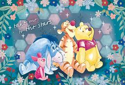 Winnie The Pooh小熊維尼(6)拼圖520片 歷史價格詳細信息