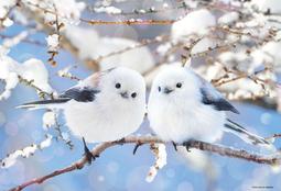 300-107 300片日本進口拼圖 風景 日本京都貴船神社  燈籠點亮，秋天的楓葉以夢幻般的方式照亮了神社的道路 歷史價格詳細信息