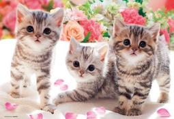 日本進口動物按壓式造型濕紙巾蓋-大包用-4入組 歷史價格詳細信息