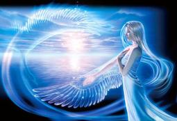 93*95cm)紗窗網 歷史價格詳細信息