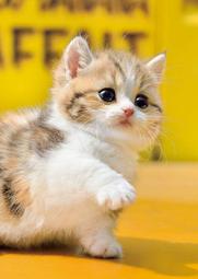 067杰恆社羅技Logitech雷射滑鼠無線滑鼠M545超微型PICO接收器Unifying工業包裝拍前請問貨 歷史價格詳細信息