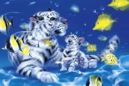 《魚太郎》OKUMA XIONGER+E II代 熊耳2代 #2000型 捲線器 ◎限時特價 歷史價格詳細信息