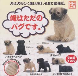 素食天堂~ (轉蛋)擬真狗狗P1 巴哥犬 全8種整套販售 價格比較,價格查詢,歷史價格詳細信息