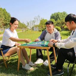 迷你麻將牌旅行宿舍便攜式可愛MINI網紅寢室手搓小麻雀戶外家用 歷史價格詳細信息