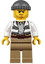 LEGO 60095 60147 60166 60167 60168 City 樂高 城市 動物 鯊魚 灰鯊 Shark 歷史價格詳細信息