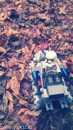 【群樂】袋裝 LEGO 30667 Animal Birthday Party 歷史價格詳細信息