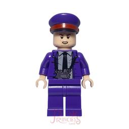 樂高LEGO 75937 暴走三角龍侏羅紀男生恐龍禮物拼搭玩具男孩女孩 歷史價格詳細信息