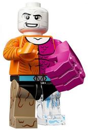 LEGO 人偶 71026-6 豹女 人偶抽抽包系列【必買站】 樂高人偶 歷史價格詳細信息