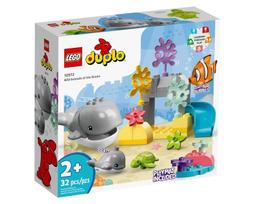 JCT- LEGO樂高 DUPLO系列-有機市集 10983 歷史價格詳細信息