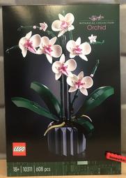 (全新未拆) 樂高 LEGO 冬季系列 10235 旋轉木馬 冬季市場 Winter  (先問答 歷史價格詳細信息