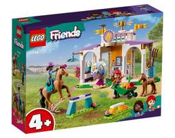 【高雄天利鄭姐】樂高 40746 獨家特殊商品 系列 - 聖誕老人的送貨卡車 歷史價格詳細信息