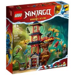 LEGO 71765 忍者終極合體機械人 旋風忍者系列【必買站】樂高盒組 歷史價格詳細信息