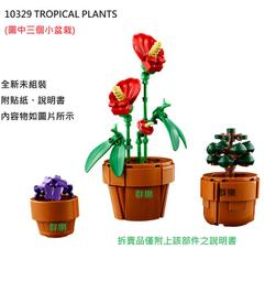 LEGO 10329 Tiny Plants 迷你盆栽 歷史價格詳細信息