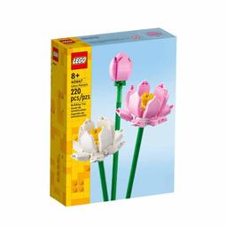 [ 必買站 ] LEGO 10415 情緒表達小學堂 得寶 系列 歷史價格詳細信息