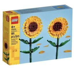 ◎朵依小舖◎LEGO◎42624 冒險營溫馨小屋◎Friends 好朋友系列 樂高◎ 歷史價格詳細信息