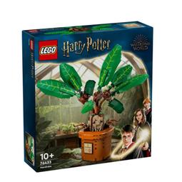 LEGO 76438 哈利波特驚喜月曆 2024 歷史價格詳細信息