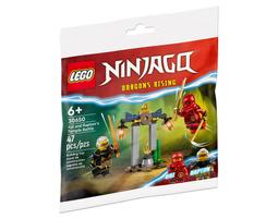 【高雄天利鄭姐】樂高  30651 Polybag 哈利波特 Harry Potter&trade; 系列 - 哈利波特 鄧不利多 歷史價格詳細信息