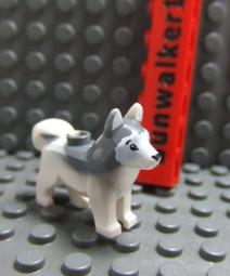 【積木2010】樂高 LEGO 動物森友會 鈴錢 錢幣 硬幣 金幣 / 星星 印刷磚片 98138pb401 77048 歷史價格詳細信息