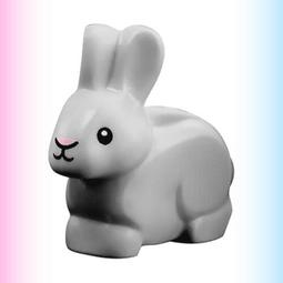 【2022新版】LEGO 60326 City 樂高 城市 動物 黑色 松鼠 Squirrel 歷史價格詳細信息