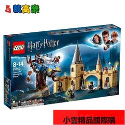 【優選國際購】LEGO樂高哈利波特系列76392霍格沃茨魔法棋男孩益智拼搭玩具積木 歷史價格詳細信息