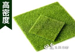 仿真草坪人造草坪人工假草皮塑料地墊幼兒園綠地毯戶外彩虹跑道 歷史價格詳細信息