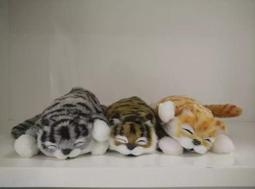 現貨 可愛小熊 毛絨娃娃 發光發聲 迷你單眼相機 掛件 小熊娃娃 包包吊飾 禮物 歷史價格詳細信息