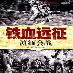 滇緬翡翠手鐲工廠清倉處理女款冰種白底飄花紫羅蘭緬甸翡翠玉手鐲-促銷 歷史價格詳細信息