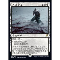 血魔法I 血之咒 Blood Magic 大智通 泰莎葛萊頓 Tessa Gratton 奇幻小說 歷史價格詳細信息