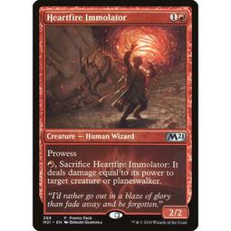 心火 Firelight 蘇菲瑪素 主演 DVD專輯 二手 D08 歷史價格詳細信息