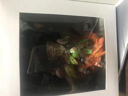 刀痕無相猴頭手串精雕細刻油性足盤玩上色快男女文玩 歷史價格詳細信息