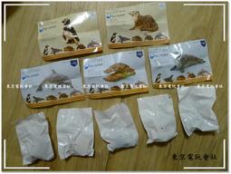 『東京電玩會社』【NS】任天堂 Nintendo Switch Lite  寶可夢劍盾限定主機 蒼響 / 藏瑪然特 附盒 歷史價格詳細信息