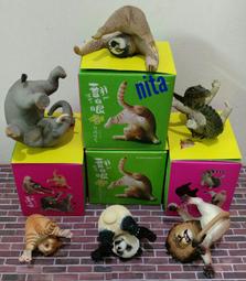 Animal Friends: Baby’s First Book of Animal 書林平民繪本專賣店 歷史價格詳細信息