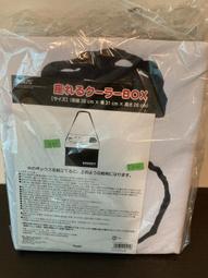 全新 SNOOPY PSN-061 Type-C 小格紋 史努比 紅屋 13000mAh 行動電源 歷史價格詳細信息