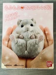 可愛動物植絨腳踏墊 地墊 地毯 吸水墊 防滑墊 臥室 浴室 柴犬 小熊 歷史價格詳細信息