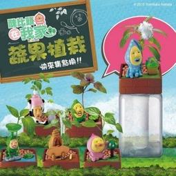 12款植萃水溶性香薰精油10ml (贈送 奈米噴霧瓶) 適合搭配水氧機 香薰機 補水儀 使用 歷史價格詳細信息