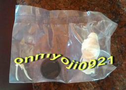 全家 第十四代霹靂Ｑ版公仔【刀鋒劍魂】素體公仔--原無鄉 全新未拆 不議價不易物 歷史價格詳細信息