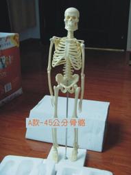 【標準款】模型工具組 鋼彈工具 高達模型 組裝工具 模型工具 HDTD31 歷史價格詳細信息