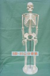 【標準款】模型工具組 鋼彈工具 高達模型 組裝工具 模型工具 HDTD31 歷史價格詳細信息