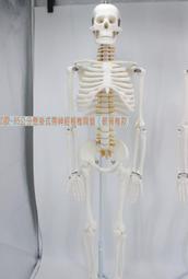 【標準款】模型工具組 鋼彈工具 高達模型 組裝工具 模型工具 HDTD31 歷史價格詳細信息